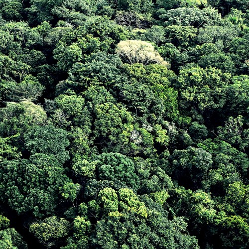 OUR COMMITMENT, SUSTAINABILITY OUR COMMITMENT, SUSTAINABILITY